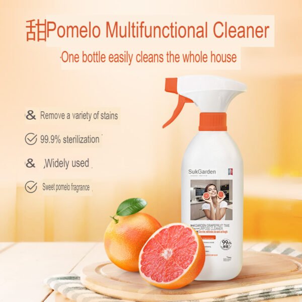 CHINA MULTI SURFACE SPRAY CLEANERMain image 1.translated